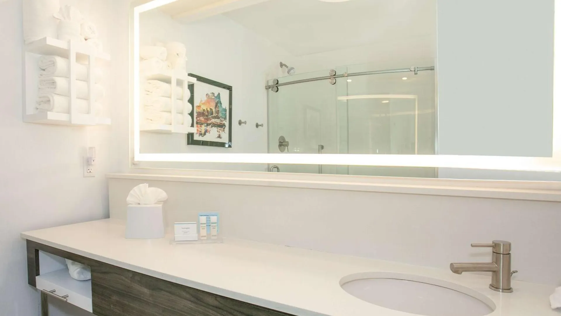 Hampton Inn & Suites Nashville-Green Hills 3*, Nashville